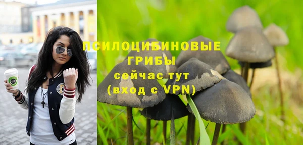 спайс Балабаново