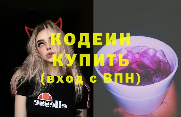 шишки Сосновый Бор